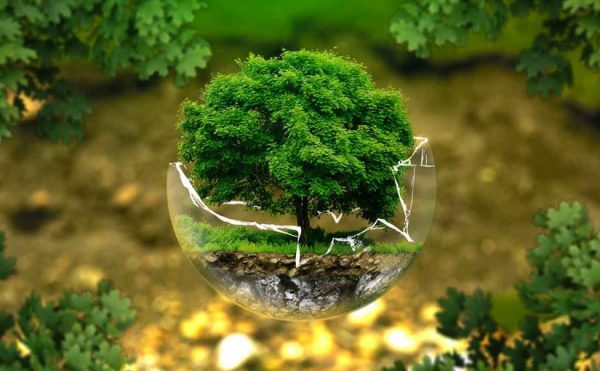 مهارات درس ديناميكية الجماعة الحيوية مادة علم البيئة مقررات عام 1442هـ