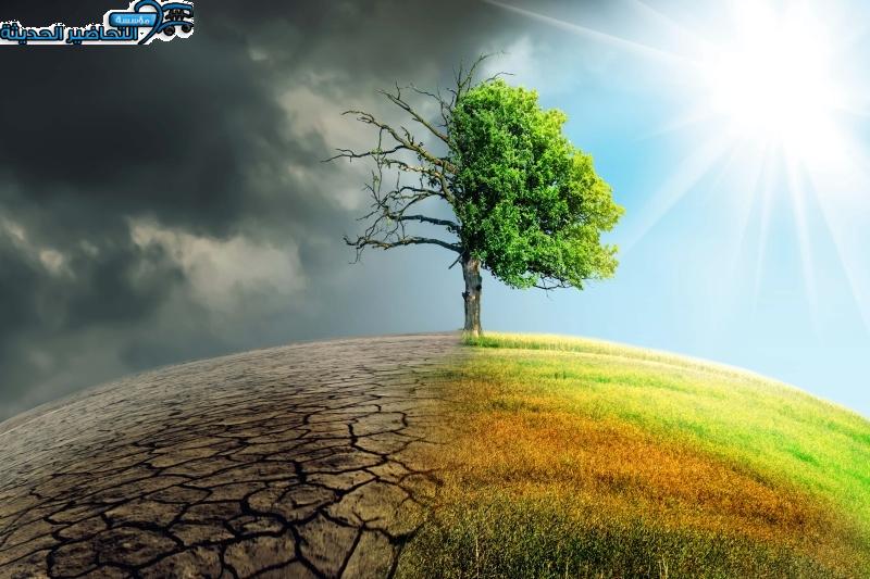 بحث عن عناصر المناخ
