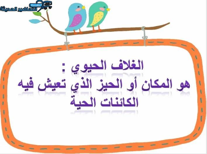 بور بوينت اجتماعيات ثاني متوسط فصل أول