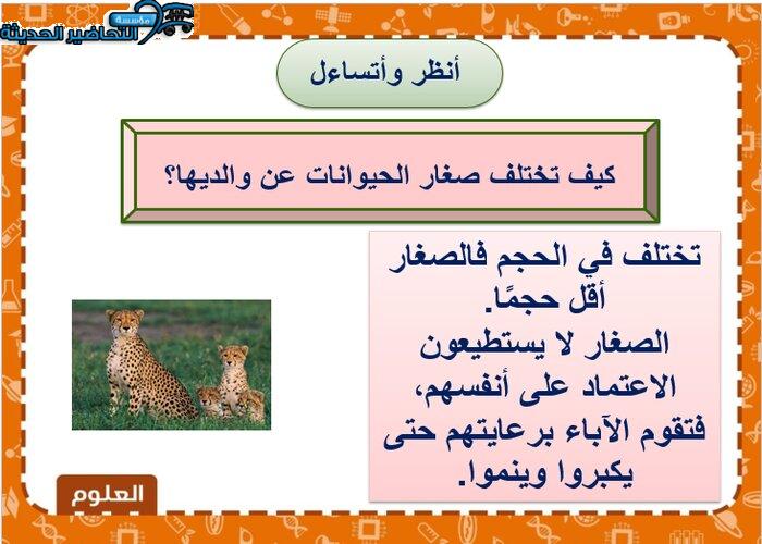 بور بوينت درس الحيوانات تنمو وتتغير لمادة العلوم الصف الثاني الابتدائي.