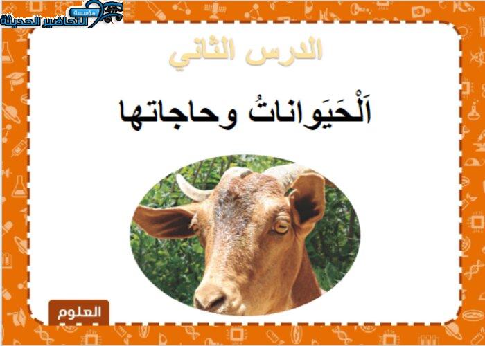 بور بوينت درس الحيوانات وحاجاته مادة العلوم الصف الأول الابتدائي