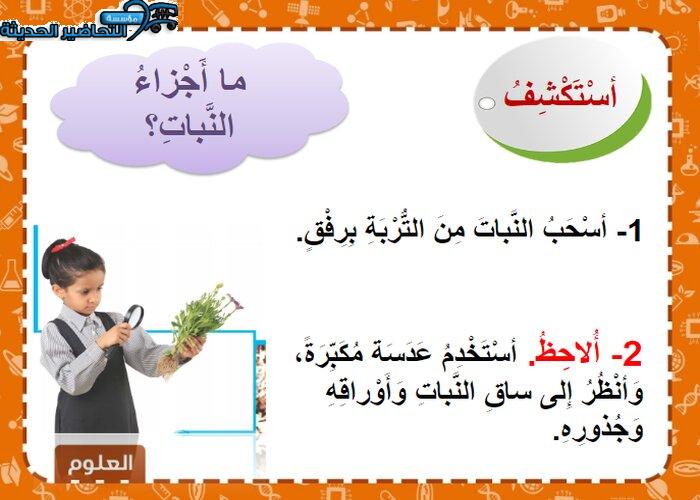بور بوينت درس النباتات وأجزاءها مادة العلوم الصف الأول الابتدائي