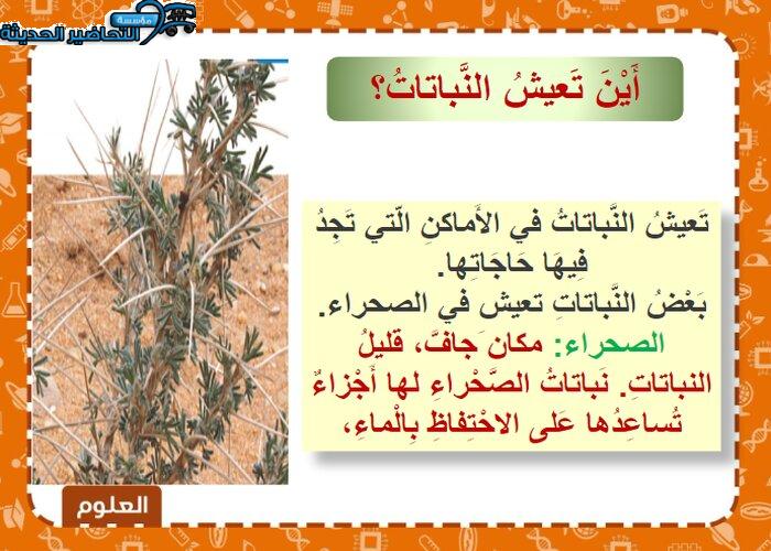 بور بوينت درس تعيش النباتات في أماكن كثيرة مادة العلوم الصف الأول الابتدائي