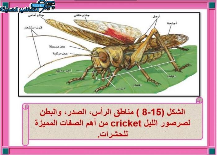 منصة مدرستي مادة الأحياء 1 مقررات