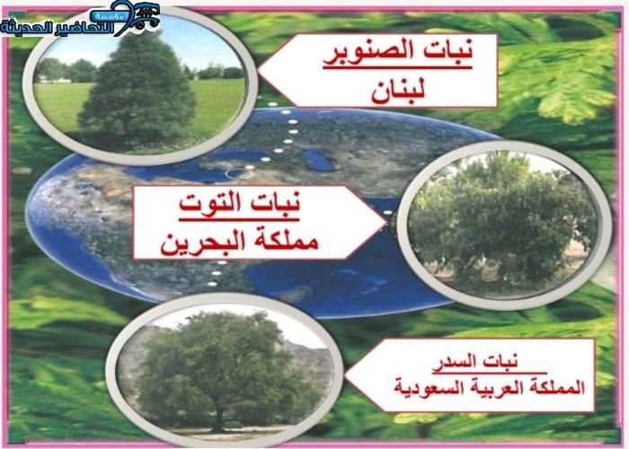 منصة مدرستي مادة احياء 3 مقررات