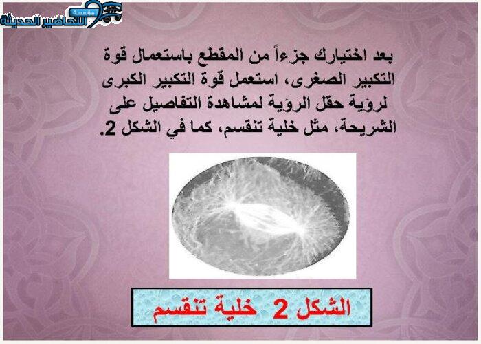 نموذج من بوربوينت مادة احياء 2 مقررات