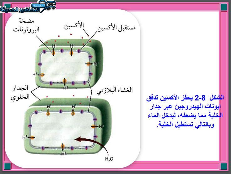 بوربوينت أحياء 3 مقررات الفصل الأول مدرستي