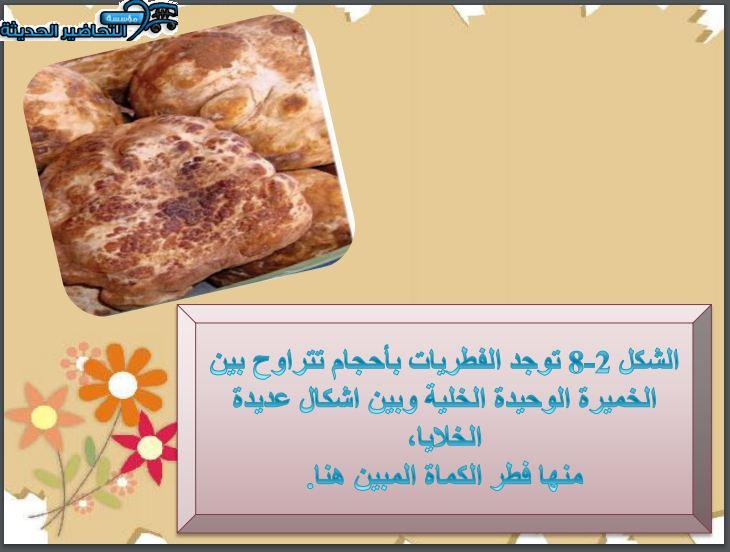 بوربوينت احياء 1 مسارات الفصل الأول مدرستي