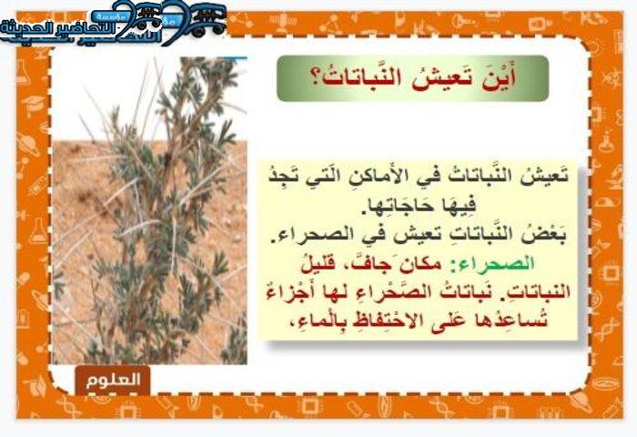 بوربوينت درس تعيش النباتات في أماكن كثيرة مادة العلوم الصف الأول الابتدائي