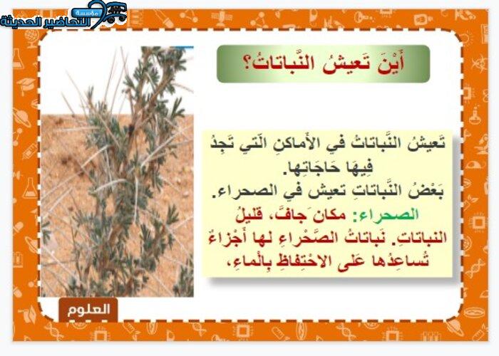 بوربوينت درس تعيش النباتات في أماكن كثيرة مادة العلوم الصف الأول الابتدائي