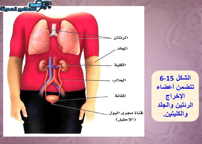 بوربوينت درس جهاز الإخراج مادة الاحياء 2 نظام مقررات