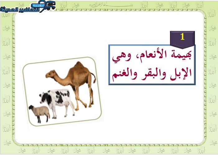 بوربوينت درس زكاة بهيمة الأنعام مادة الدراسات الاسلامية للصف السادس الابتدائي