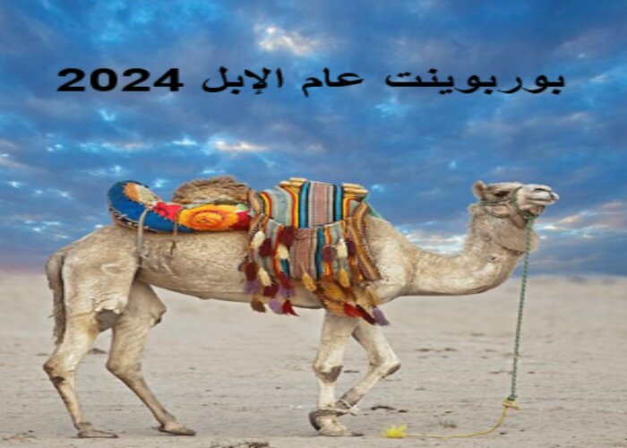 بوربوينت عام الإبل 2024