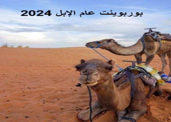 بوربوينت عام الإبل 2024