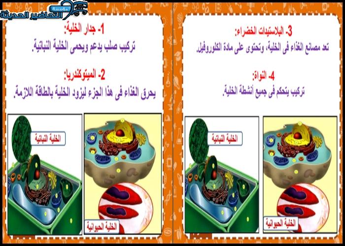 بوربوينت مادة العلوم