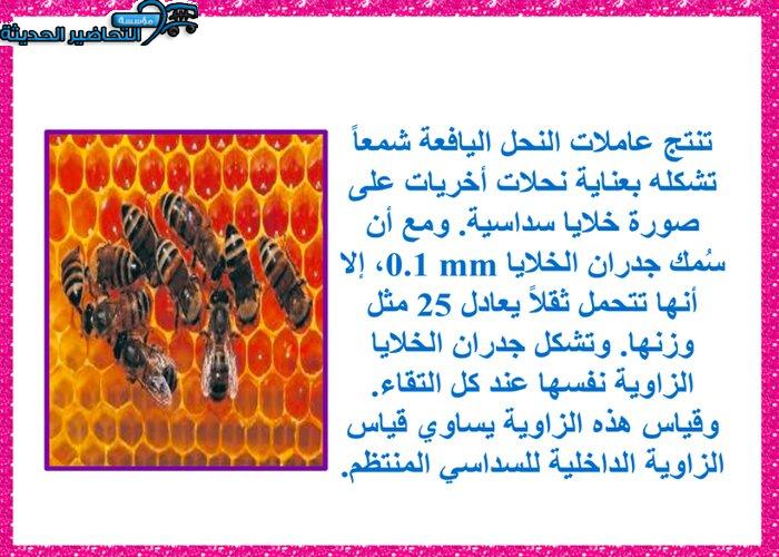 بوربوينت مادة رياضيات 2 مقررات