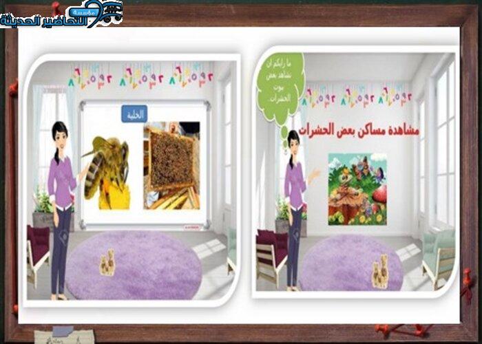 التخطيط للفهم وحدة الحشرات رياض اطفال بوربوينت وحدة الحشرات رياض أطفال