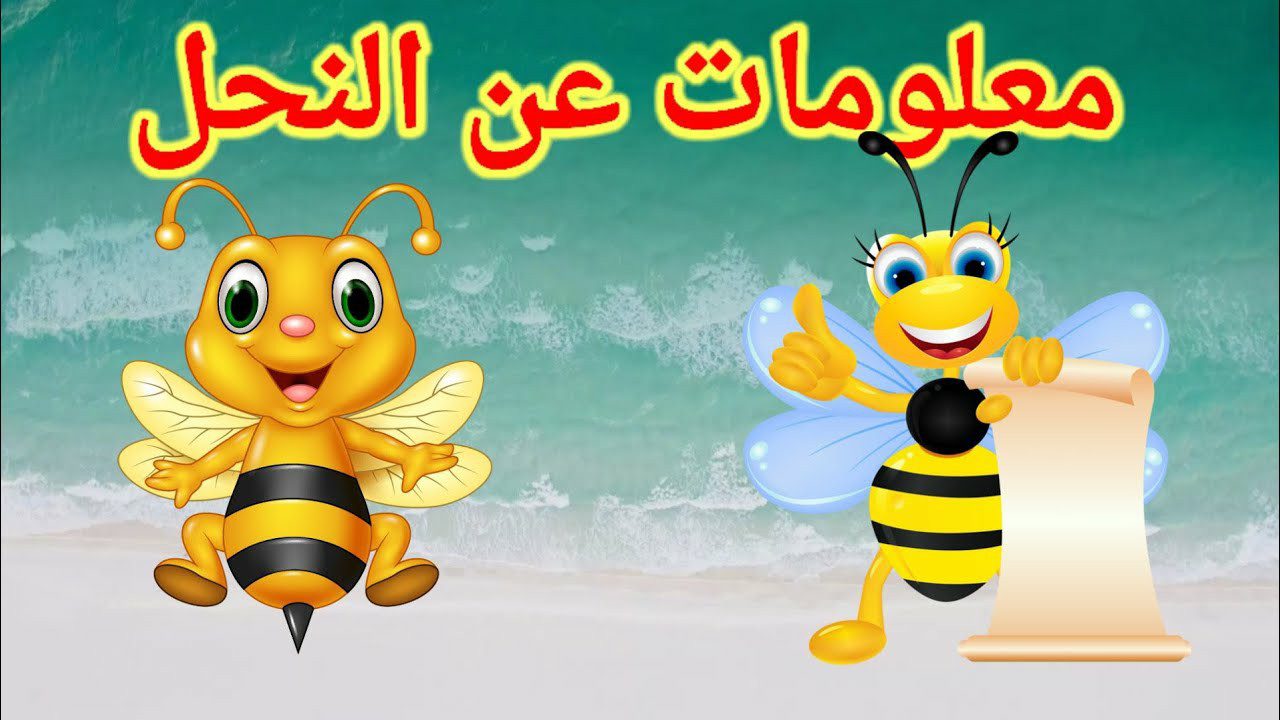 تحضير استقصاء وحدة النحل رياض اطفال تحضير استقصاء وحدة النحل رياض اطفال
