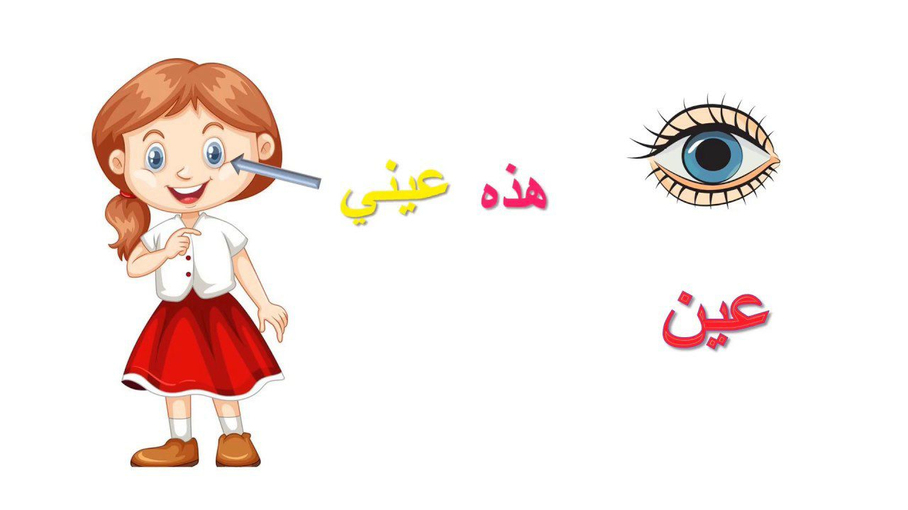 تحضير استقصاء وحدة انا وجسمي رياض اطفال