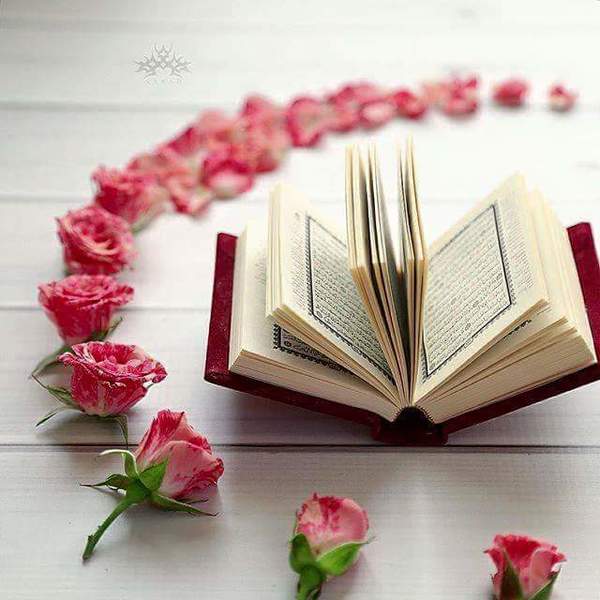 حل أسئلة درس تلاوة سورة القصص 17- 24 القرآن الكريم الأول المتوسط فصل دراسي أول 1443 هـ