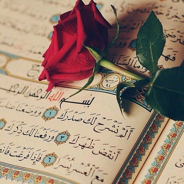 حل أسئلة درس تلاوة سورة القصص 17- 24 القرآن الكريم الأول المتوسط فصل دراسي أول 1443 هـ