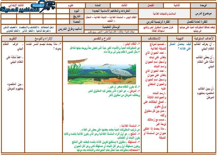 تحضير درس السلاسل والشبكات الغذائية العلوم الصف الثالث الابتدائي