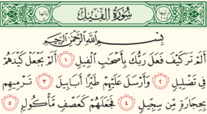تحضير درس الفيل حفظ مادة القرآن الكريم أول كبيرات الفصل الدراسي الأول 1441