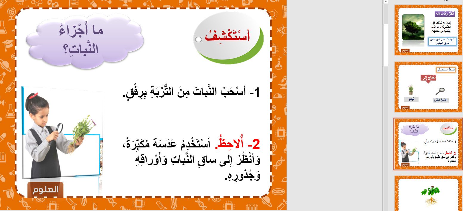 تحضير درس النباتات وأجزاؤها