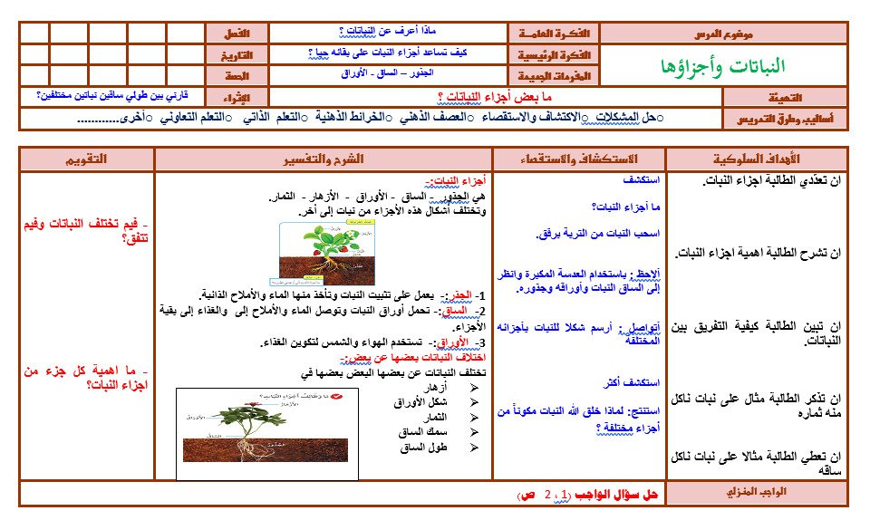 تحضير درس النباتات وأجزاؤها
