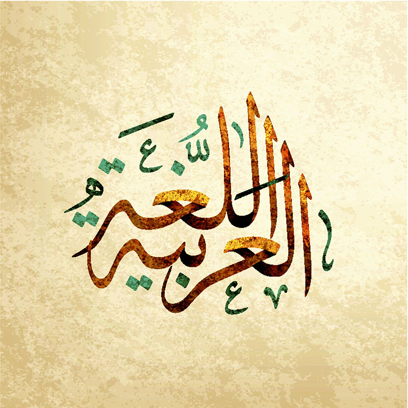 مهارات مادة لغتي الصف الثالث المتوسط التربية الفكرية فصل دراسي الثالث 1443 هـ