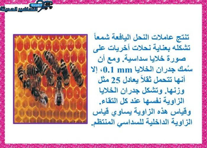 بوربوينت مادة رياضيات 2 مقررات