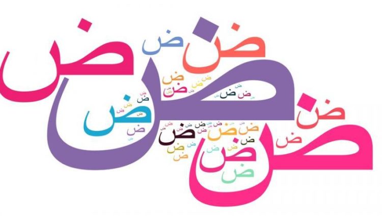 مهارات مادة لغتي الصف الثالث الابتدائي التربية الفكرية فصل دراسي الثالث 1443 هـ