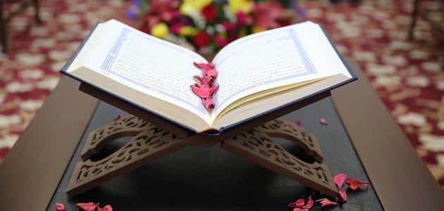 التكاثر