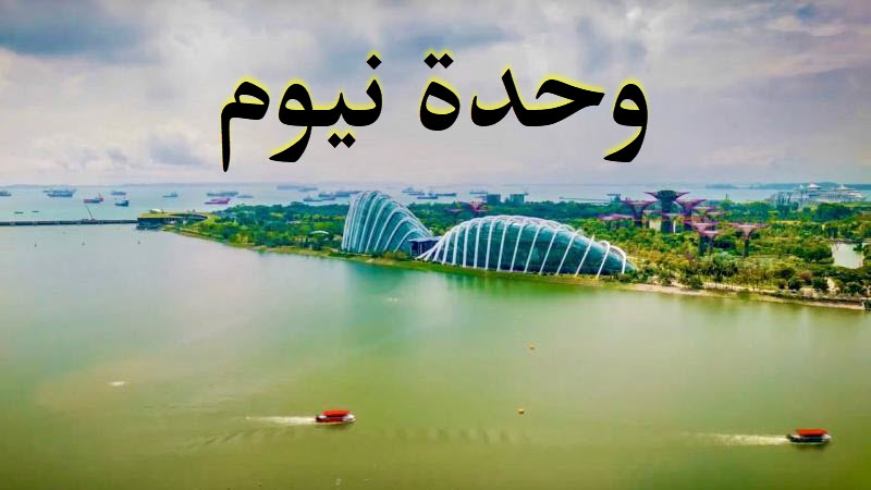 تمارين أدراكية المستوى الأول وحدة نيوم رياض أطفال