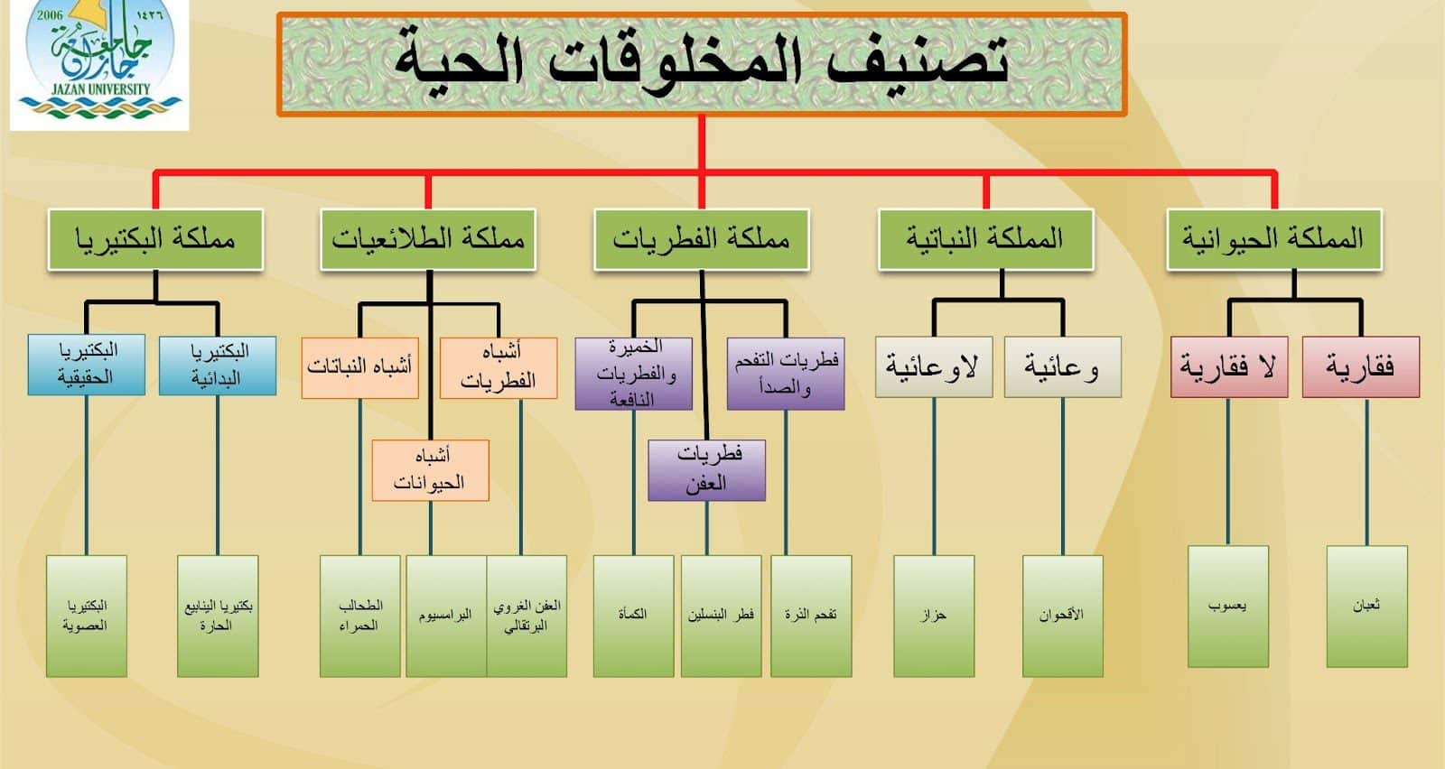 مهارات درس تصنيف المخلوقات الحية علوم رابع ابتدائي 1443 هـ