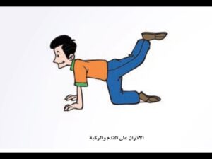 تحضير درس الاتزان علي القدم و الركبة واليدين مادة التربية البدنية للصف الأول الإبتدائي الفصل الدراسي الاول 1441