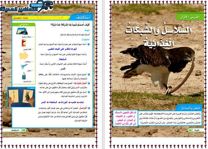 حل أسئلة درس السلاسل والشبكات الغذائية العلوم الصف الثالث الابتدائي