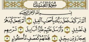 حل أسئلة درس الفيل حفظ مادة القرآن الكريم أول كبيرات الفصل الدراسي الأول 1441