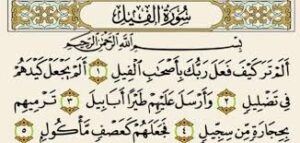 حل أسئلة درس سورة الفيل مادة  القرآن الكريم