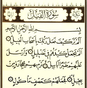 حل أسئلة درس سورة الفيل مادة القرآن الكريم مجتمع بلا أمية الفصل الدراسي الأول 1441