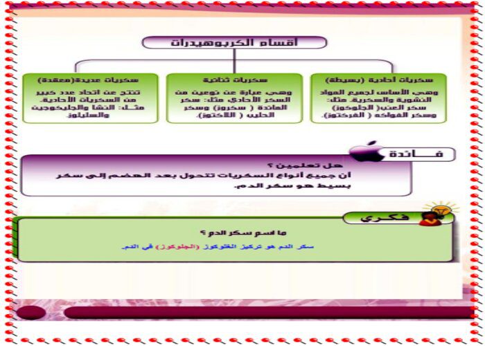 حل اسئلة درس الكربوهيدرات مادة التربية الصحية والنسوية مقررات