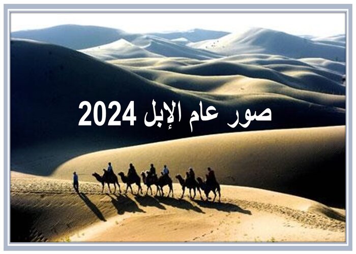 صور عام الإبل 2024