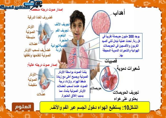عروض بوربوينت درس جهاز التنفس والاخراج مادة العلوم ثاني متوسط