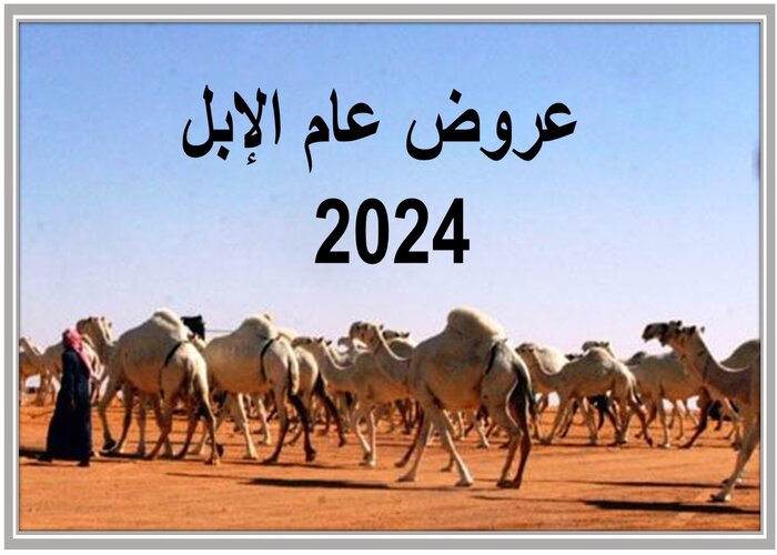عروض عام الإبل 2024 