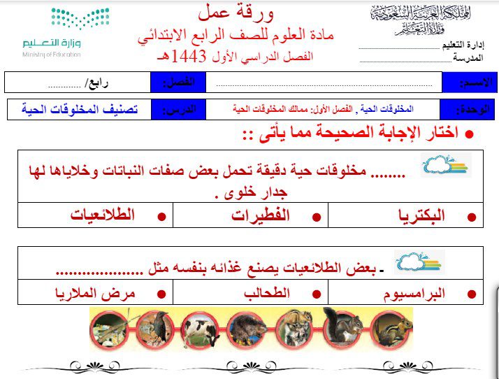اوراق عمل درس أجهزة اجسام الحيوانات علوم رابع ابتدائي فصل دراسي اول