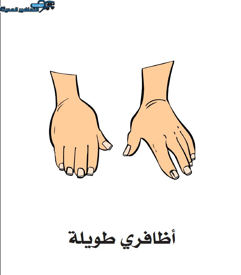 قصة تقليم الاظافر القراءة الجهرية رياض اطفال قصة تقليم الاظافر القراءة الجهرية رياض اطفال