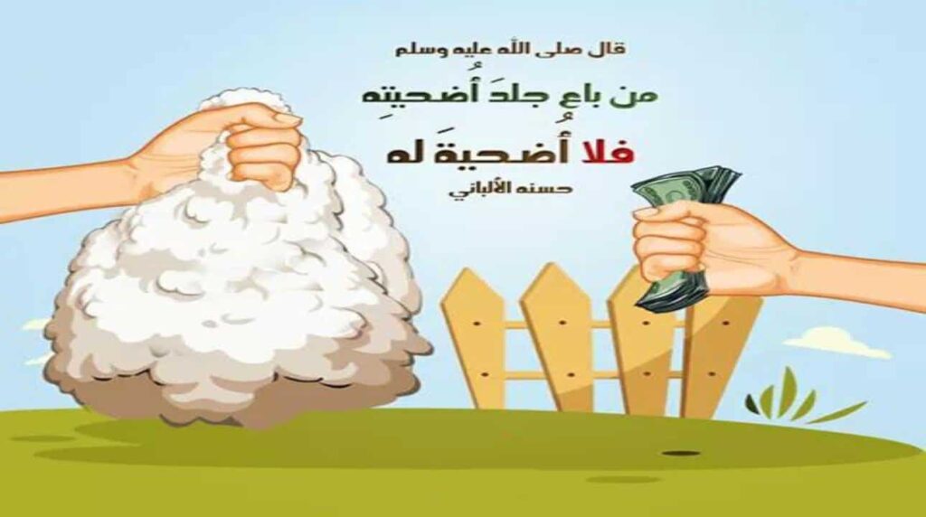 حل اسئلة درس الهدي والأضحية والعقيقة مادة الفقة الصف الثانى متوسط النصف الثاني