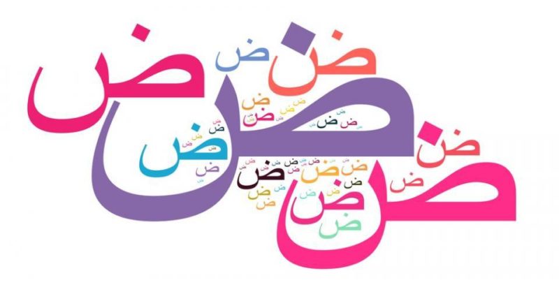 نماذج اختبار لغتى ثالث كبيرات النصف الأول