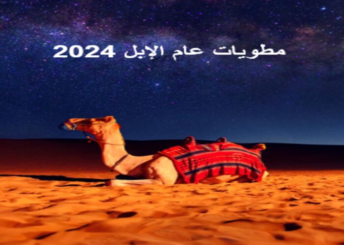 مطويات عام الإبل 2024