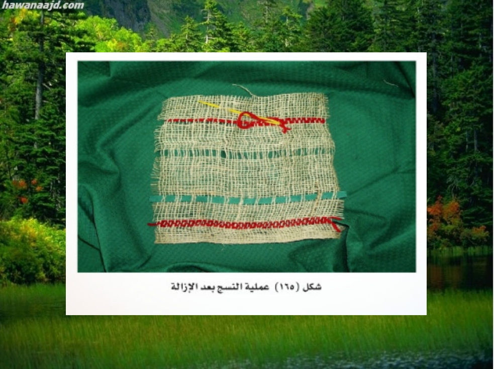 ملخص مادة التربيه الفنيه الصف الثالث الابتدائي الفصل الدراسي الثاني